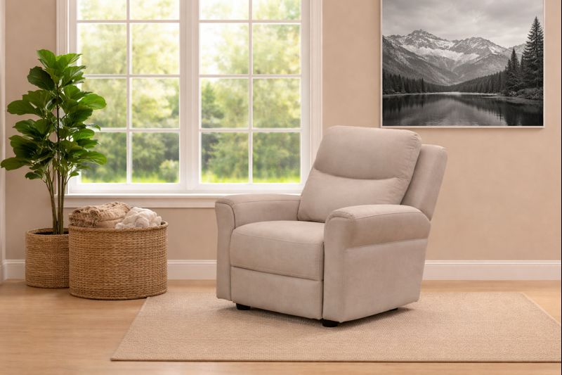 כורסת טלוויזיה דגם אלזס